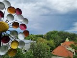 20220808_094339.jpg