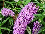 20220808_154938.jpg