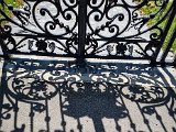 20220810_130021.jpg