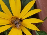 20220811_185244.jpg