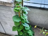 20220812_064241.jpg