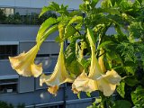 20220812_064827.jpg