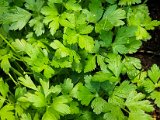 20220812_070108.jpg