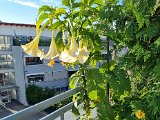 20220812_074822.jpg