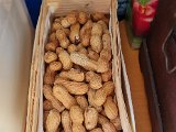 20220812_075053.jpg