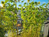 20220812_075108.jpg