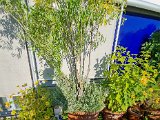 20220812_075338.jpg
