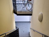 20220817_140818.jpg