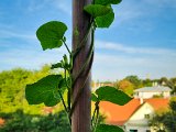20220818_073712.jpg