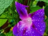 20220822_123029.jpg