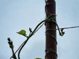 20220822_123042.jpg