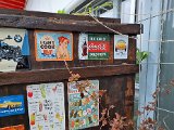 20220823_120651(0).jpg