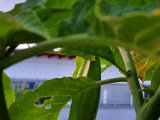 20220824_055513.jpg