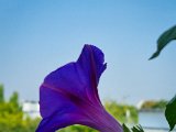 20220826_102557.jpg