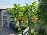 20220829_113251.jpg