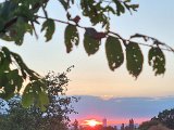 20220829_193217.jpg
