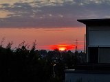 20220830_061106.jpg