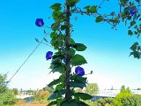 20220830_092126.jpg
