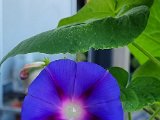 20220830_092142.jpg