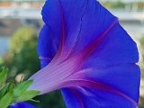 20220830_092152.jpg