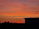 20220831_055627.jpg