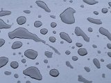 20220901_062216.jpg