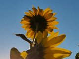 20220903_071344.jpg