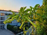 20220906_065507.jpg