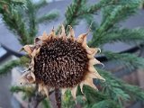 20220907_065642.jpg