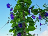 20220907_070102.jpg