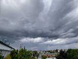20220910_140848.jpg