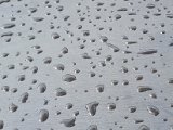 20220911_132236.jpg