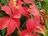 20221004_103024.jpg