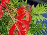 20221004_103033.jpg