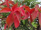 20221004_103050.jpg