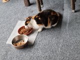 20221014_104004.jpg