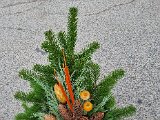 20221023_135628.jpg