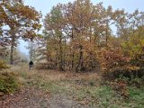 20221023_152504.jpg