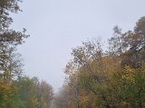20221023_152810.jpg