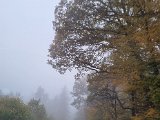 20221023_152822.jpg