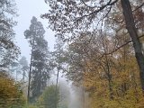 20221023_152832.jpg