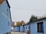 20221023_160018.jpg