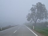 20221023_173920.jpg