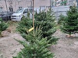 20221218_153158.jpg