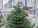 20221218_153255.jpg