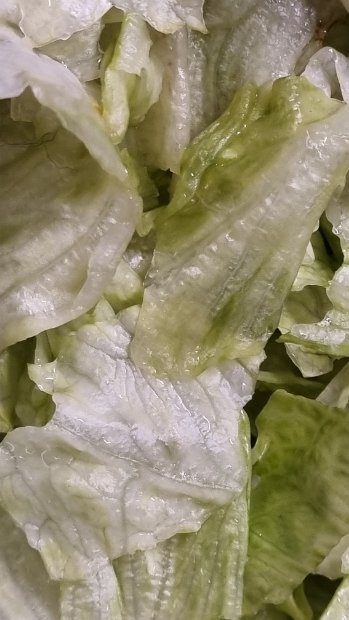 20230129_015136(0)