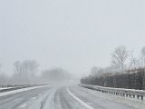 20230128_122144(0).jpg