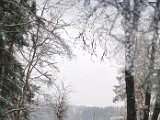 20230128_141254.jpg