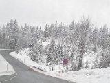 20230128_154333.jpg