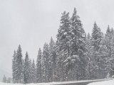 20230128_154340.jpg